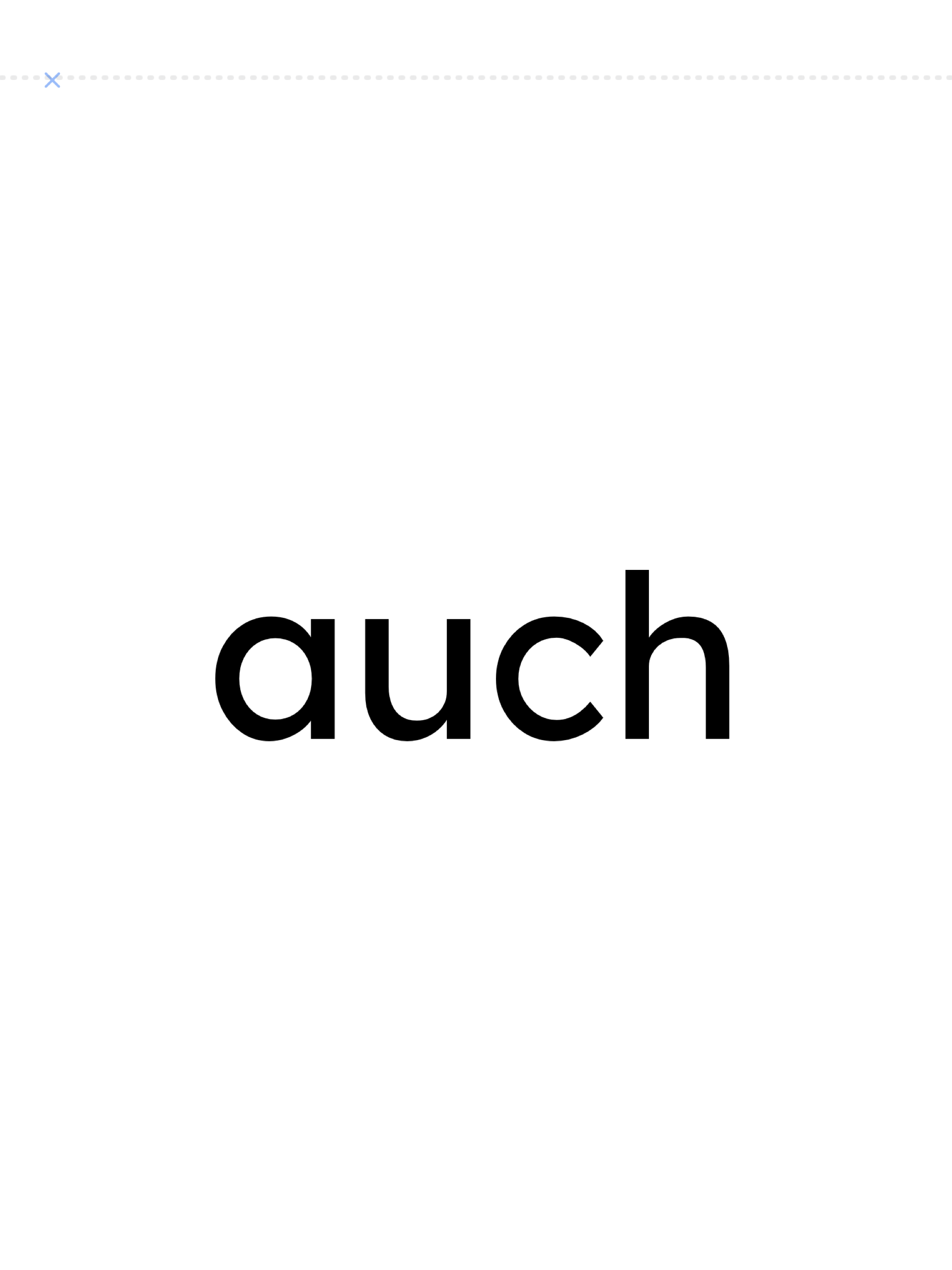 LeseFlow Pro – Wort wird großformatig auf dem iPad angezeigt